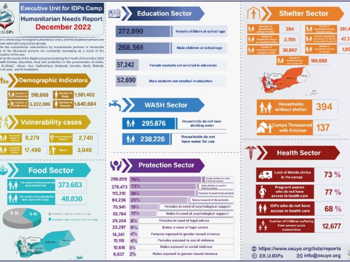 Yemen: Humanitarian Needs Report December 2022